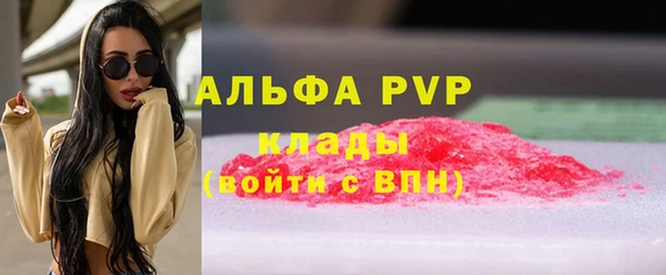 сатива Новый Уренгой