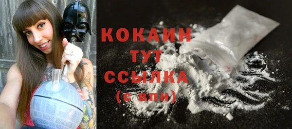 крисы Строитель