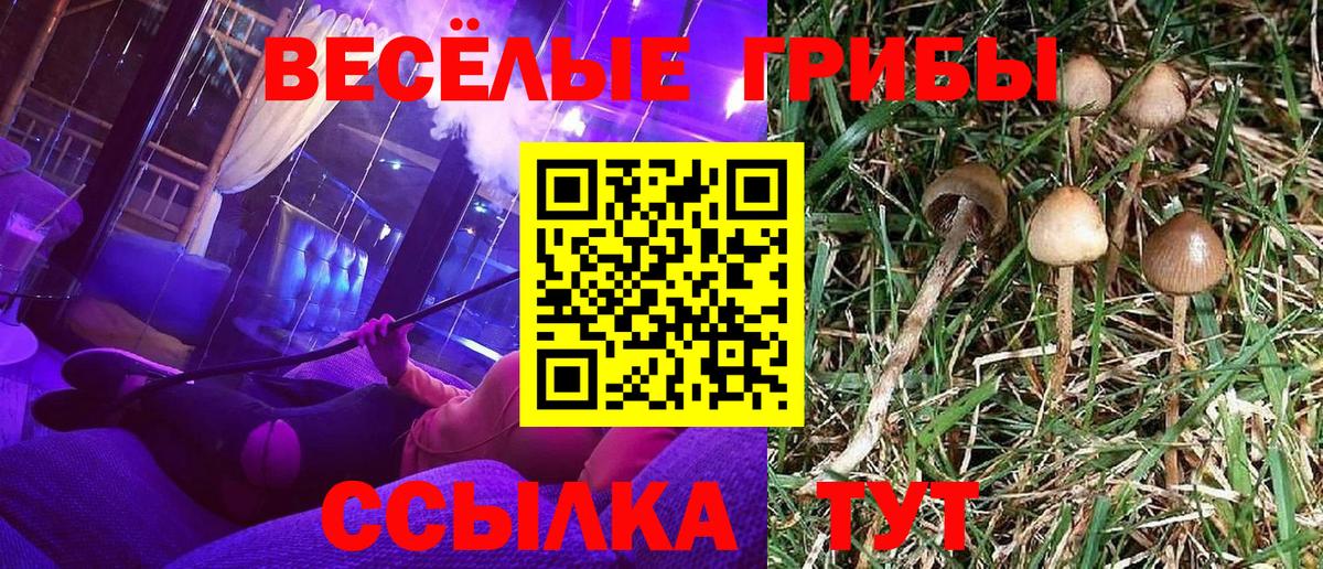 Галлюциногенные грибы Cubensis  Вход с VPN  Галлюциногенные грибы ЛСД  Барнаул 